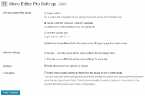 Plugin settings